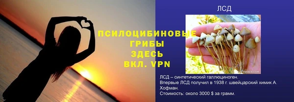 ПСИЛОЦИБИНОВЫЕ ГРИБЫ Балахна